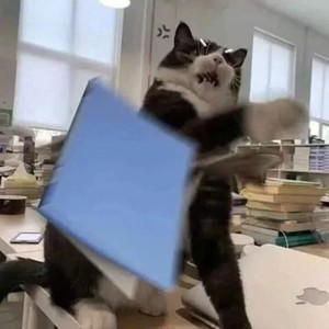 小猫坏事做尽(krush bandicoot2)