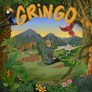 Gringo