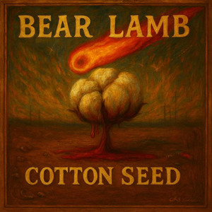 Cotton Seed