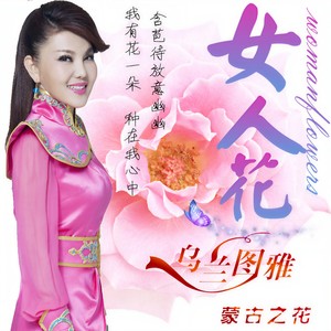女人花封面