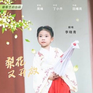 梨花又开放