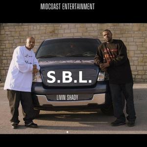 LIVIN SHADY (feat. VOKAB SPARKS & YOUNG SAL) (Explicit)