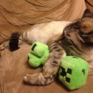 what i need (feat. quixi) (Explicit)