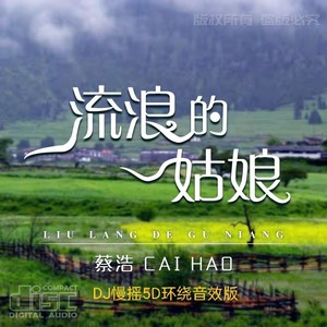 流浪的姑娘 (DJ慢摇版)