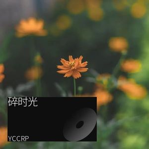 碎时光