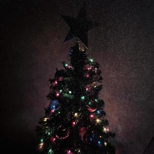 X-MAS TREE