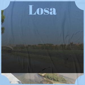 Losa