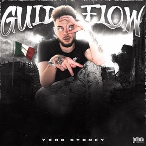 Guido Flow (Explicit)