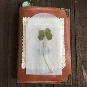 dear diary (Explicit)