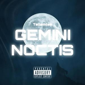 Gemini: Noctis (Explicit)