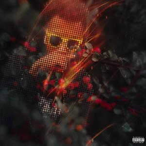SOLVE IT (Explicit)