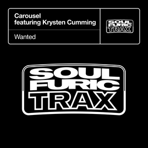 Wanted (Main Instrumental Mix)