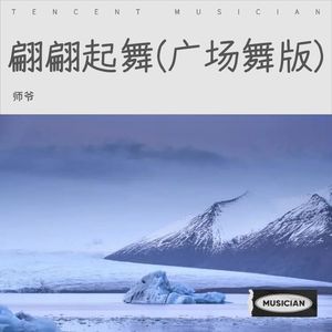 翩翩起舞 (广场舞版)