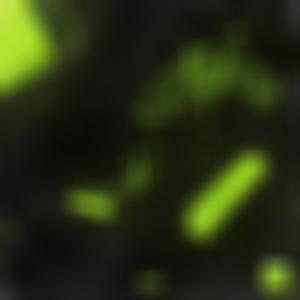 TOXIC (feat. LilThay) (Explicit)