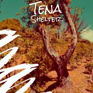 Tena Shelter