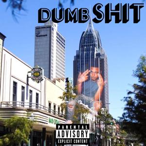 Dumb SH!T (Explicit)