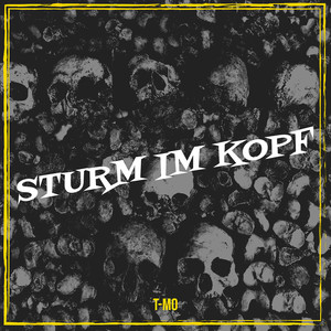 Sturm Im Kopf