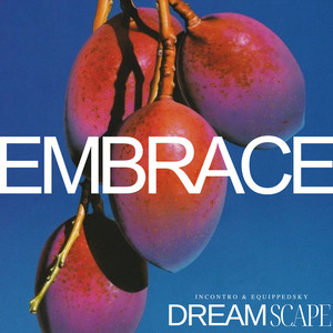 Embrace