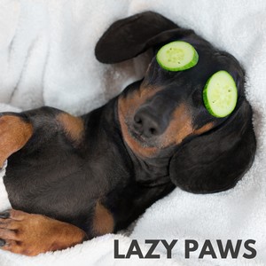 Lazy Paws