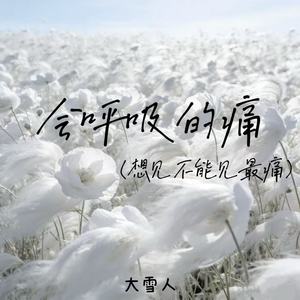 会呼吸的痛（想见不能见最痛）