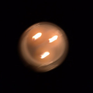 I Could Fall In Love