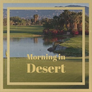 Morning in Desert