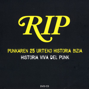 Historia viva del punk