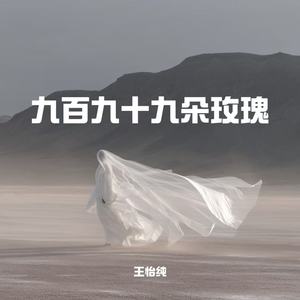 九百九十九朵玫瑰-王怡纯