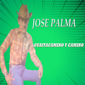 Guaitacamino y Camino