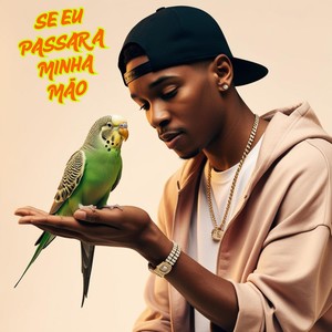 SE EU PASSAR A MINHA MÃO (Explicit)