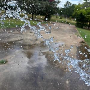 Freedom (instrumental)