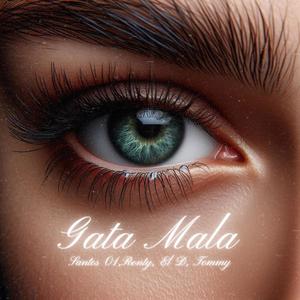 GATA MALA (feat. Ronty, El D & Tommy Santos) [Explicit]