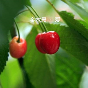 幸爱 Qq音乐 千万正版音乐海量无损曲库新歌热歌天天畅听的高品质音乐平台 幸爱 Qq音乐 千万正版音乐海量无损曲库新歌热歌天天畅听的高品质音乐平台