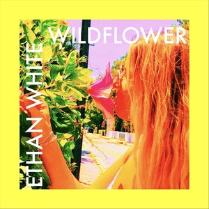 Wildflower