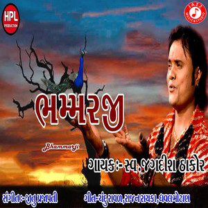 Bhammarji - Single