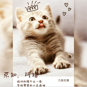 破茧 (DJ枪声版)