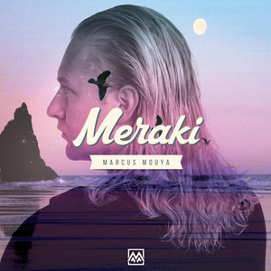 Tears Of The Sun (Original Mix)