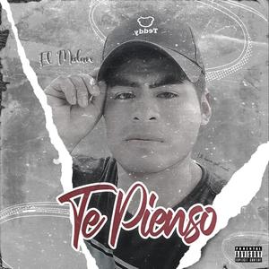 Te pienso (feat. Dham Studio)