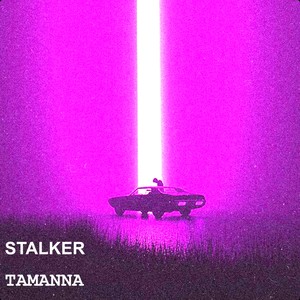 STALKER