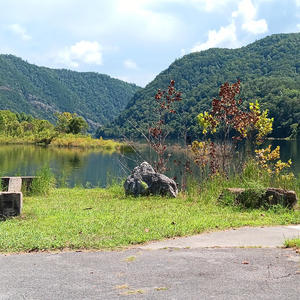 Energy Bliss (Special Version)