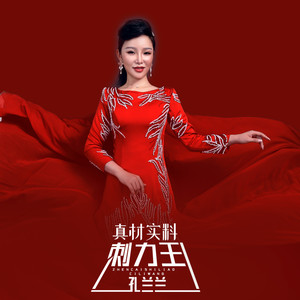 真材实料刺力王