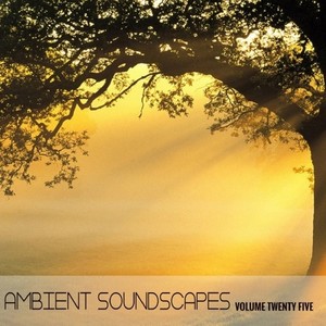 Ambient SoundScapes Vol 25