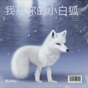 我是你的小白狐
