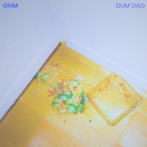 Dum dag