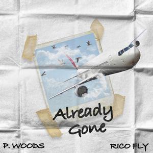 Already Gone(feat. Rico Fly) (Explicit)