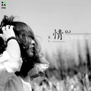 情人节的眼泪 (DJ版)