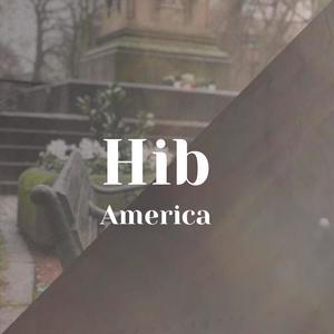 Hib America