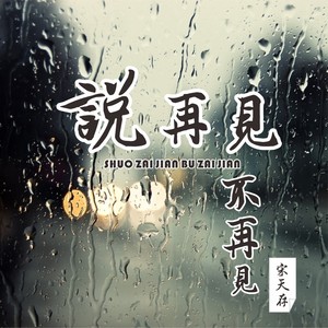 说再见不再见 (伴奏)