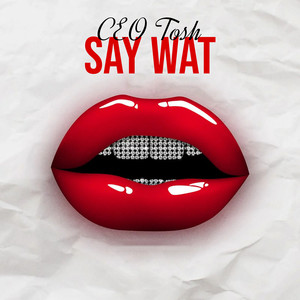 Say Wat (Acapella) [Explicit]