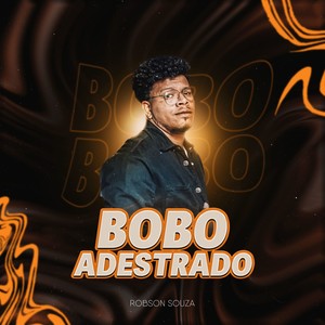 Bobo Adestrado